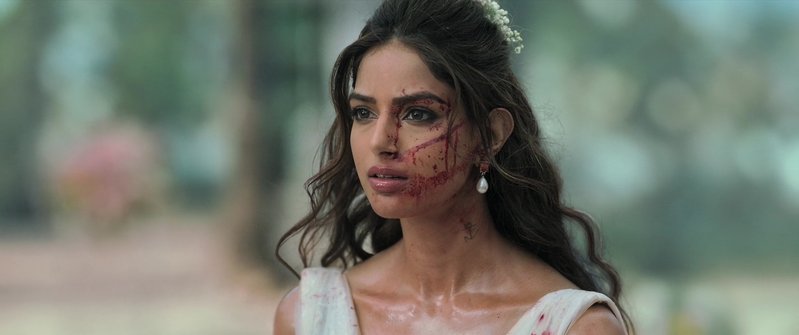 Baaghi 4 (2025) - SS5