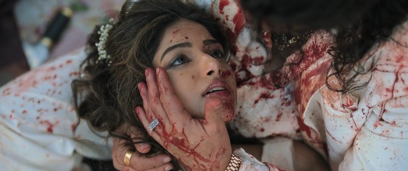 Baaghi 4 (2025) - SS9